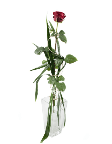 Rosa rossa singola senza vaso