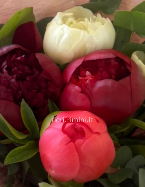 Bouquet Fantasie DI PEONIE