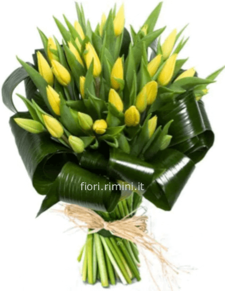 Bouquet tulipani elegant