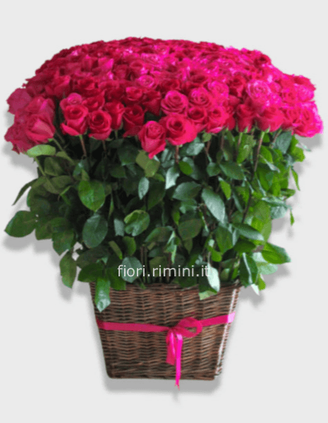Immenso e elegante cestodi rose rosse