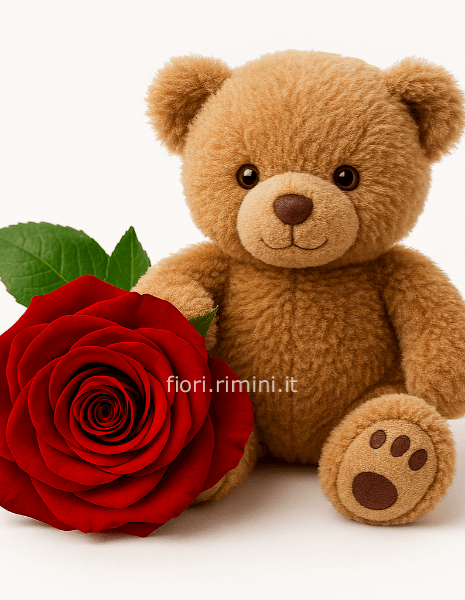 Rosa rossa con orsacchiotto di peluche