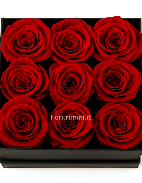 box 9 rose rosse