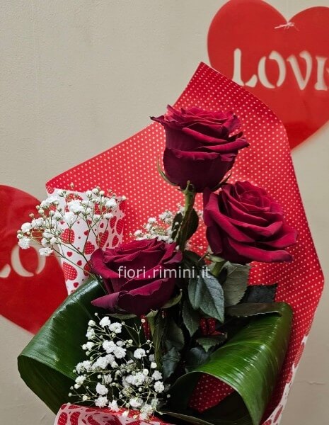 3 ROSE ROSSE GAMBO LUNGO