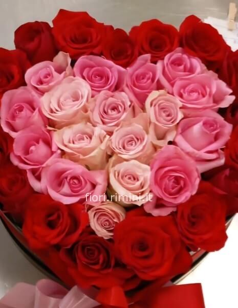 BOX ROSE ROSSE E ROSA 