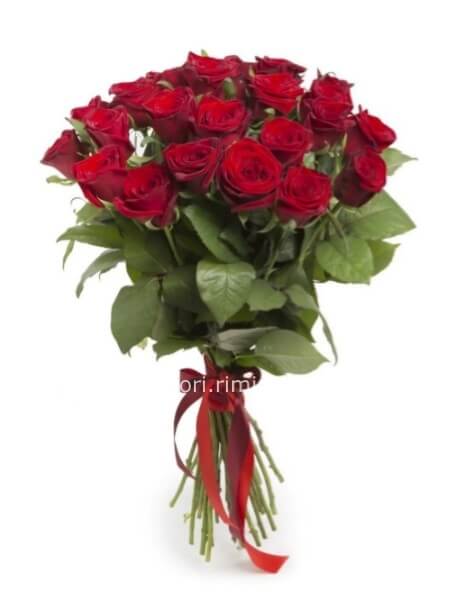 ROSE ROSSE A GAMBO LUNGO