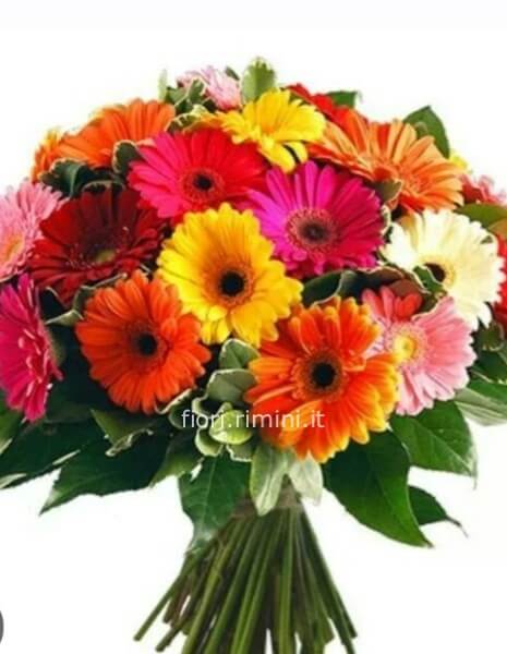 Bouquet di gerbere miste