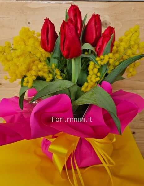 Tulipani con mimosa