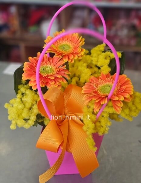 Borsetta germini e mimosa